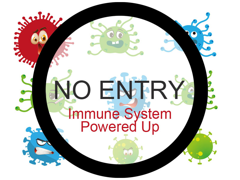 Viruses facing a no entry sign saying Immune System Powered Up