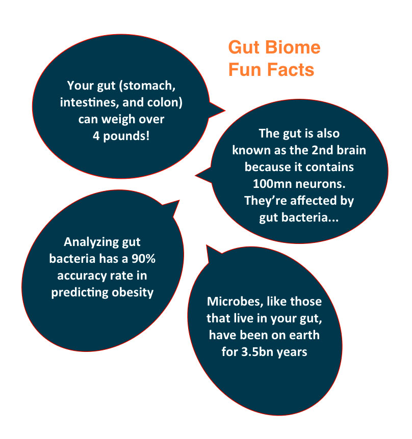 Four fun facts in speech bubbles to help illustrate gut health