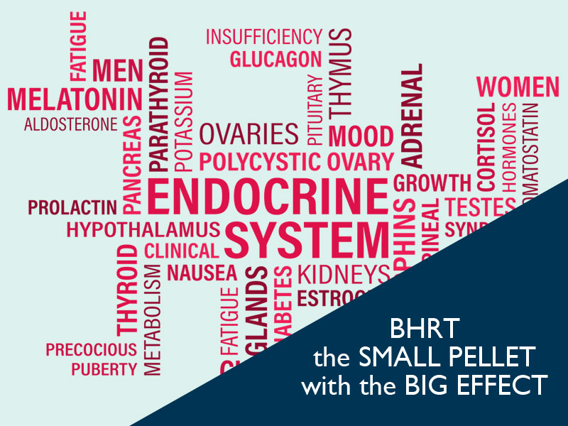 text chart of the endocrine system to illustrate BHRT